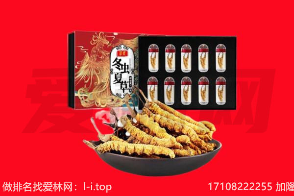 江门江海区回收虫草.jpg